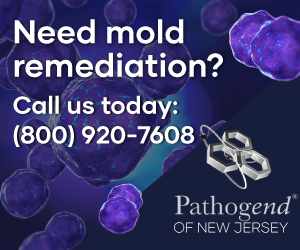 Reduce mold indoors with Pathogend of New Jersey experts in mold remediation.